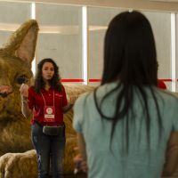 usp girocultural foto de Carla Christiani-25