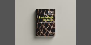 A sociedade em laços